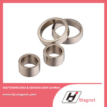 Hot Sale Customized Ring Magnet for 2017 Motor